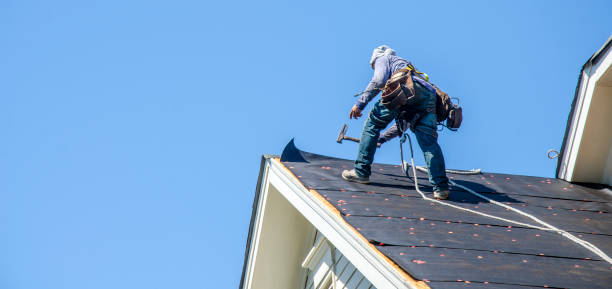 Best Storm Damage Roof Repair  in Lyles, TN